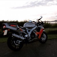 Honda CBR900 Fireblade Urban Tiger