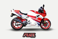 Honda CBR600 Fm-Fw