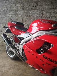 Triumph Daytona 955i